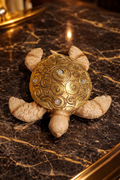Golden Spiral Turtle