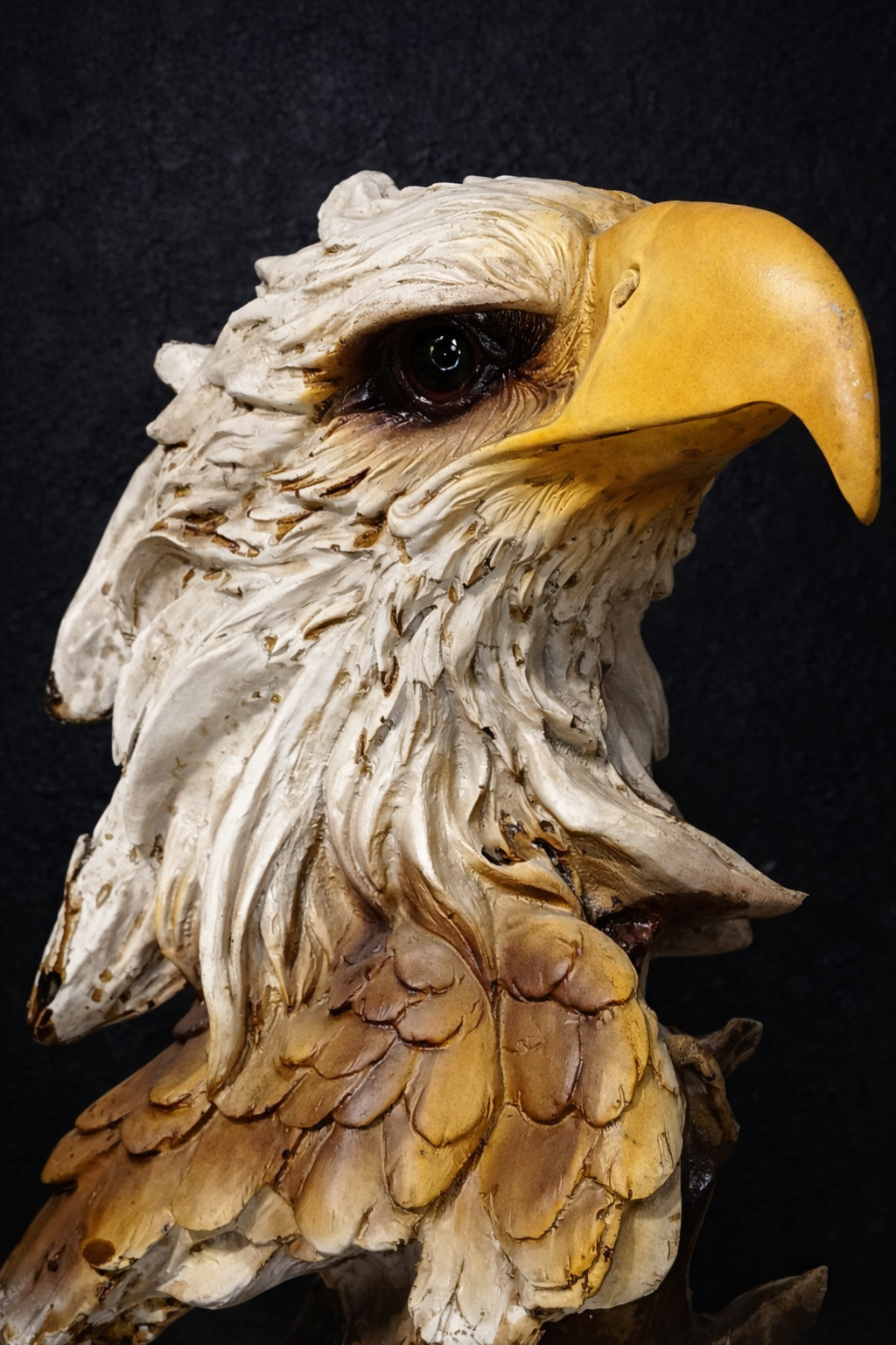 Majestic Vigil Eagle