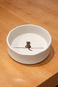 Whisker cat Bowl